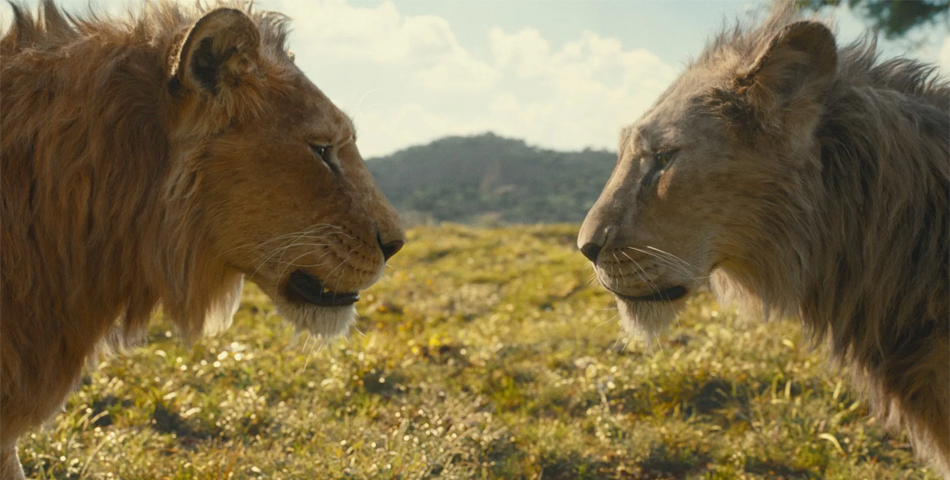 فیلم موفاسا